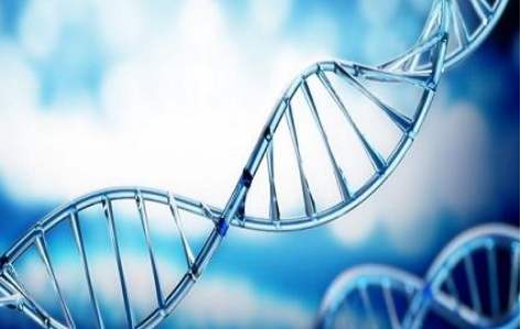 百傲2019再穫三證，進入DNA免提時代