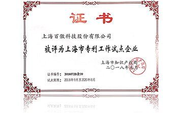 上海市專利工作試點(dian)企業